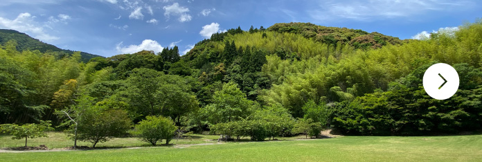 静岡県　びく石山静かな夜のキャンプ場